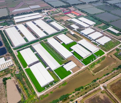 荊州東進(jìn)——荊州·朱家湖1.6萬頭母豬擴(kuò)繁場